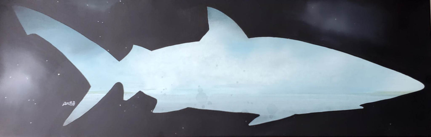 Requin bleu - collection requin