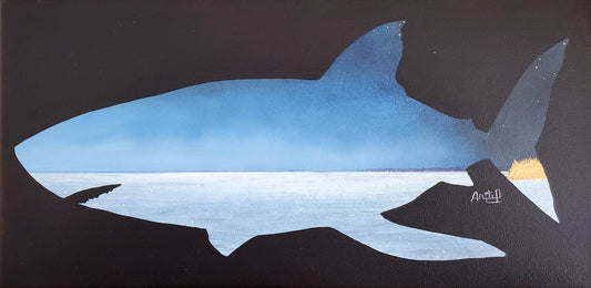 Fjord doré - collection requin